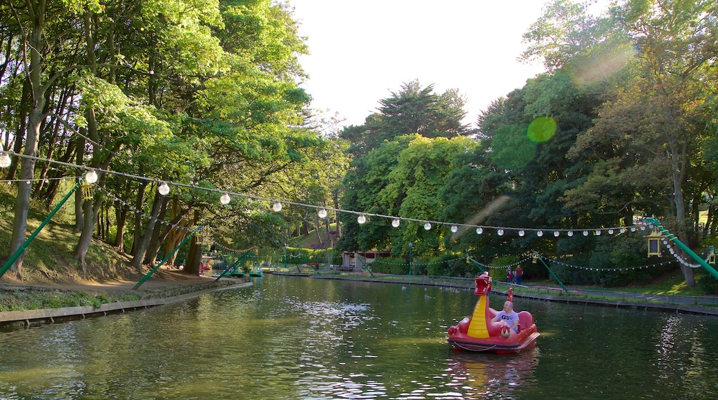 Peasholm Park which includes water sports, a river or creek and a park