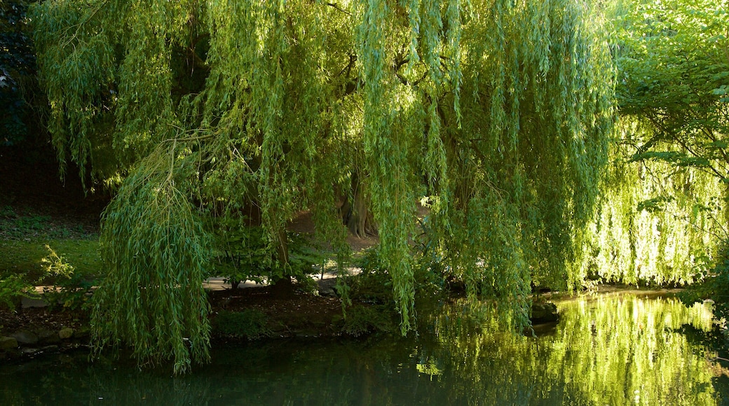 Peasholm Park featuring a river or creek and a park