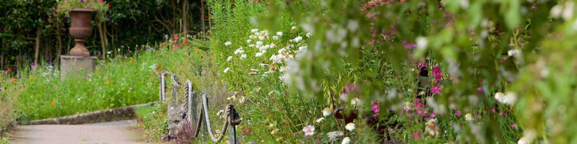 Lake District Visitor Centre at Brockhole which includes a park
