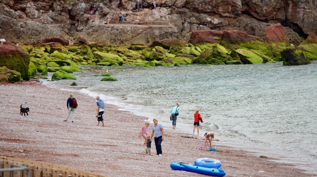 Babbacombe Beach som inkluderer strand med småstein og stenete kystlinje i tillegg til familie