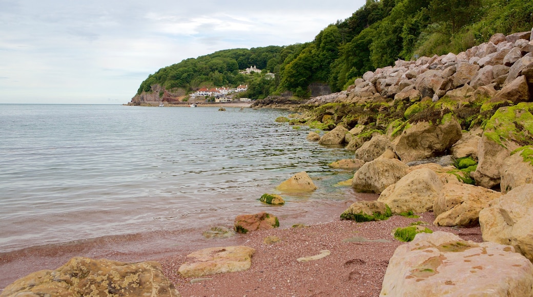 Babbacombe Beach which includes rugged coastline