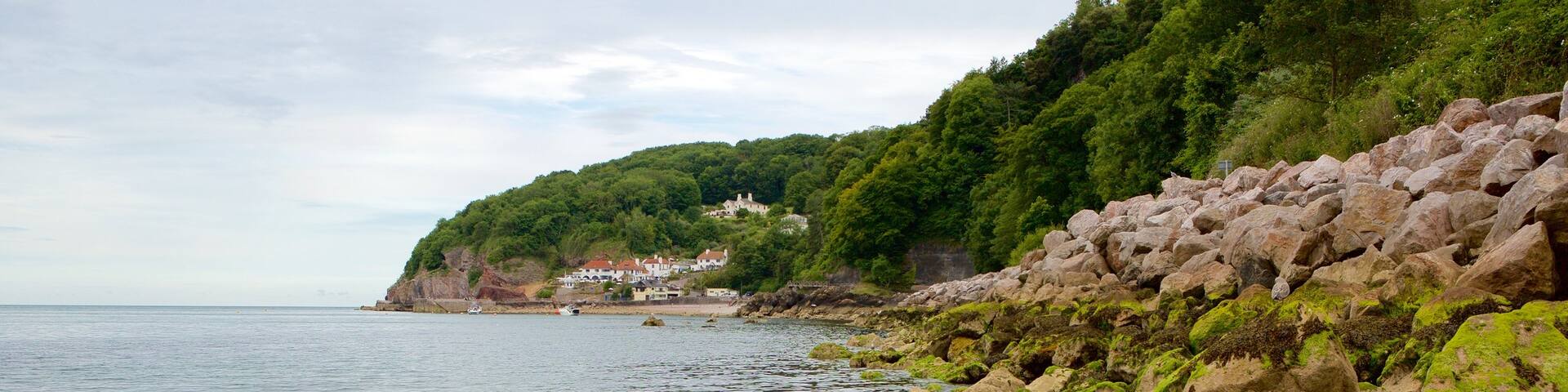 Babbacombe Beach showing rocky coastline