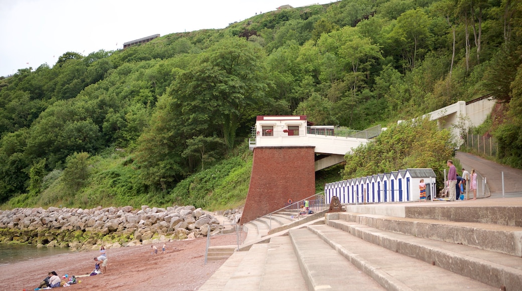 Babbacombe Beach som inkluderer skog og kyst