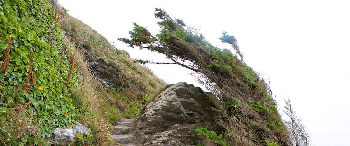 Whitsand Bay Beach which includes general coastal views