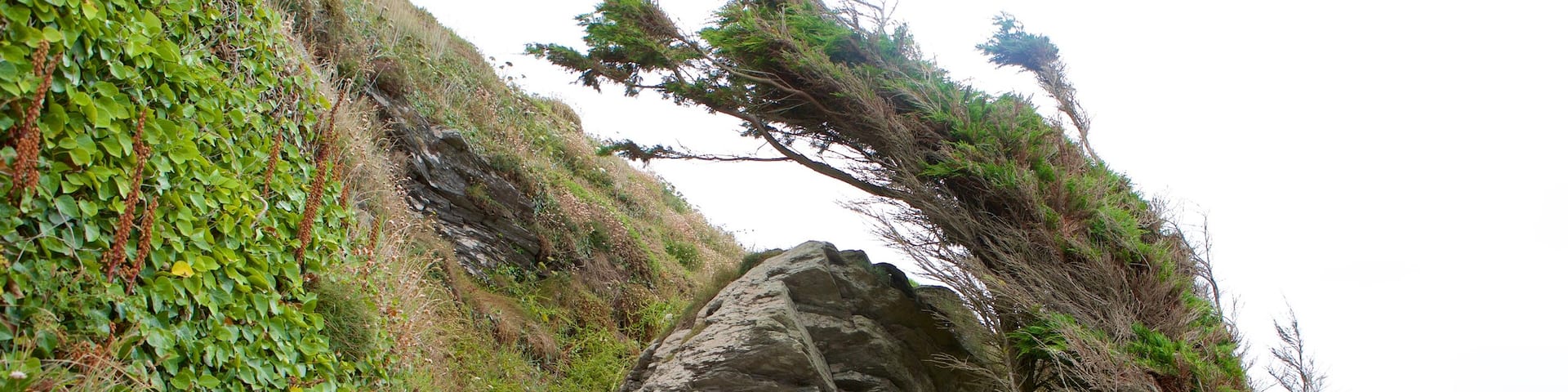 Whitsand Bay Beach featuring general coastal views