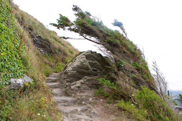 Whitsand Bay Beach das einen allgemeine Küstenansicht