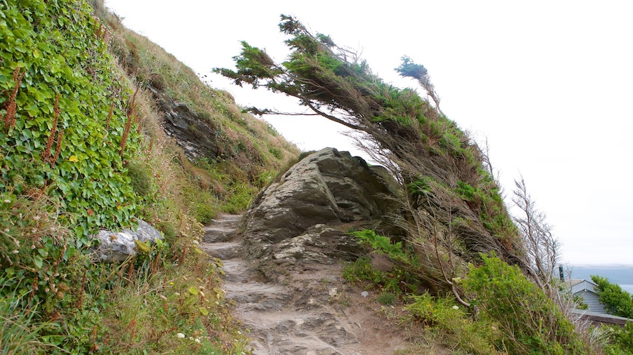 Whitsand Bay Beach presenterar kustutsikter
