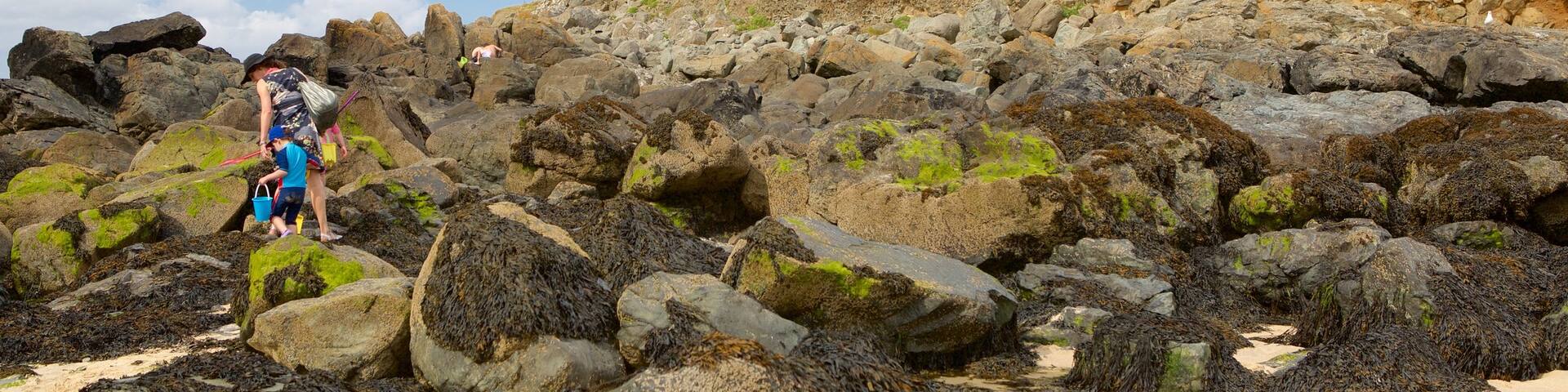 Porthmeor Beach which includes a sandy beach