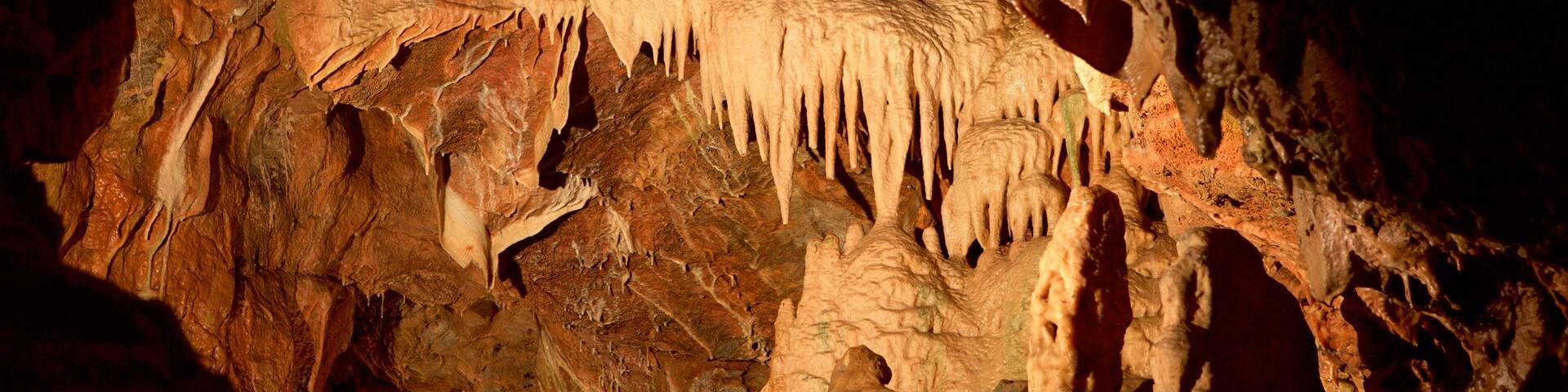 Kents Cavern Prehistoric Caves which includes caves