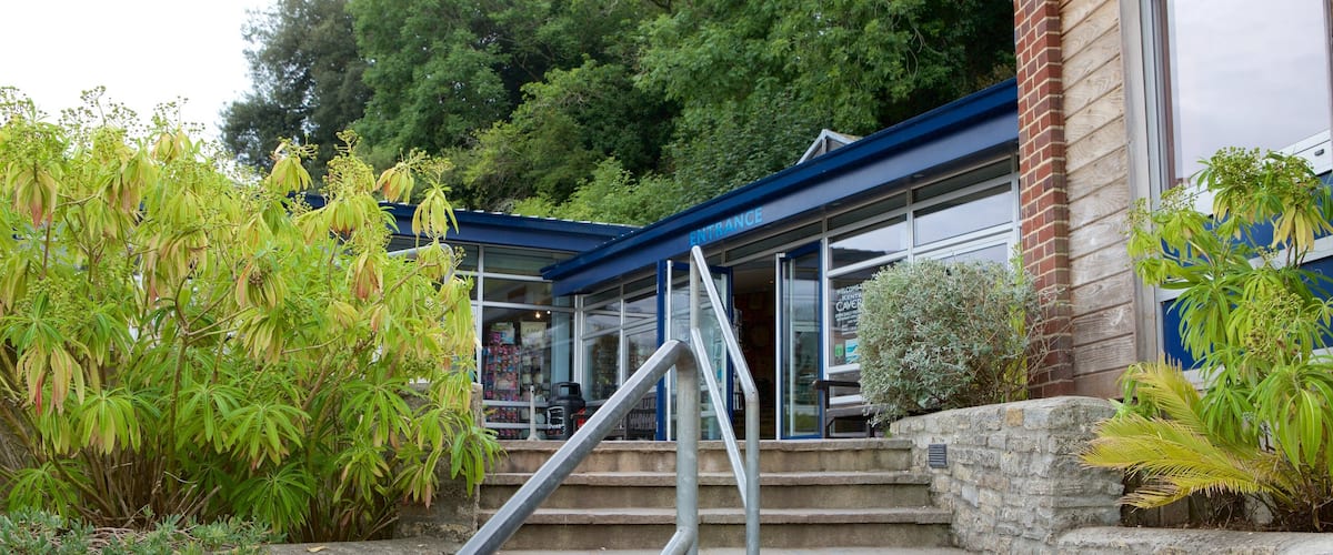 Kents Cavern Prehistoric Caves featuring caves