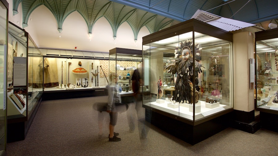 Royal Albert Museum and Gallery ofreciendo vistas interiores