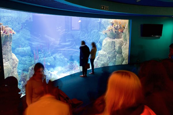 National Marine Aquarium qui includes vues intérieures et vie marine