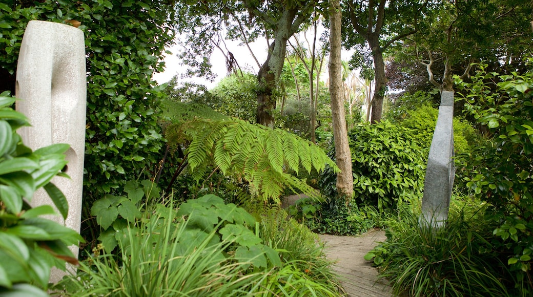 St Ives featuring a park