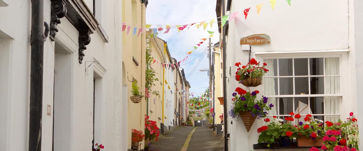 Devon featuring a small town or village
