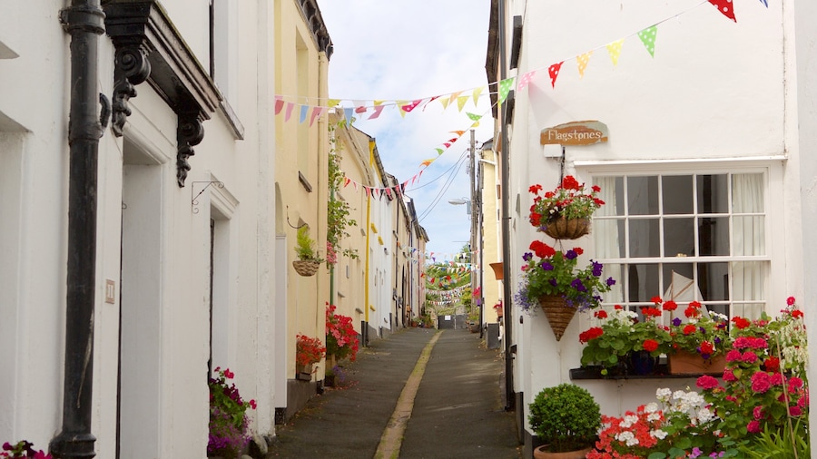 Devon das einen Kleinstadt oder Dorf