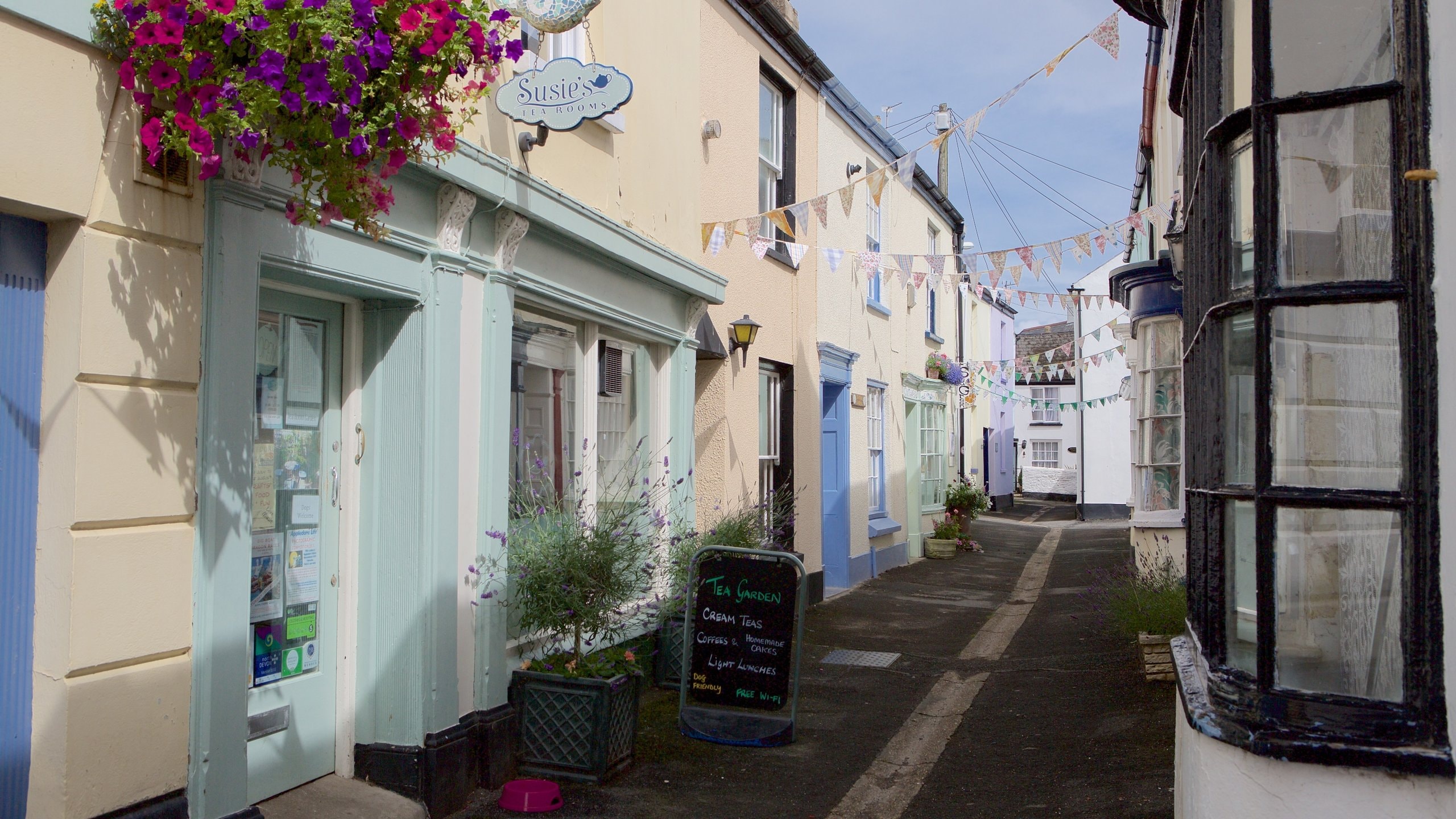 Appledore, Bideford Vacation Rentals house rentals & more Vrbo