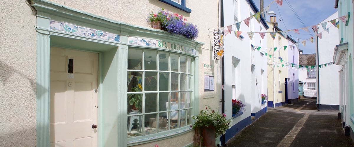 Devon featuring a small town or village