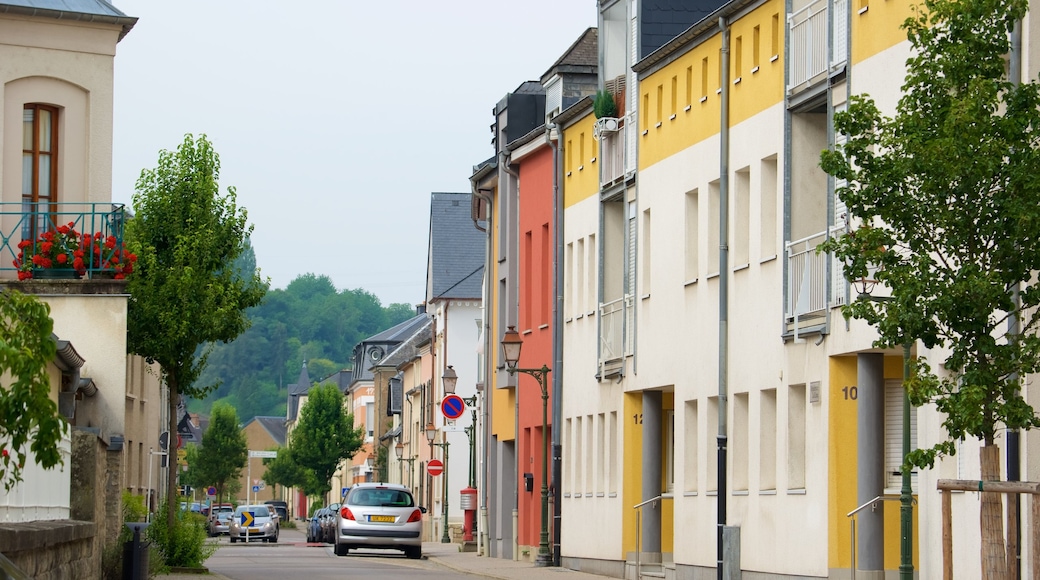 Diekirch inclusief een stad