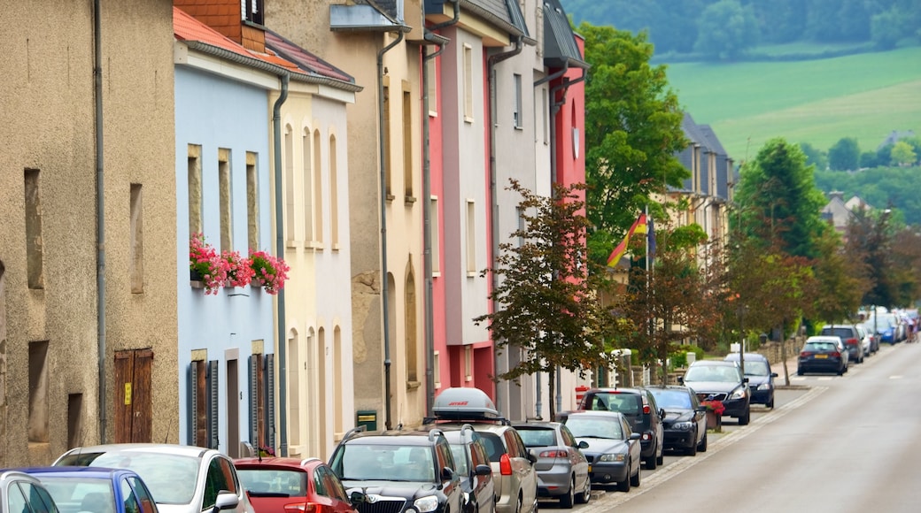 Diekirch que incluye una ciudad