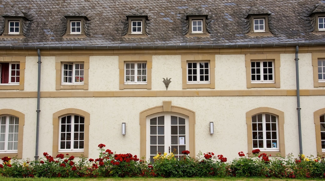 Echternach which includes a house, heritage architecture and flowers