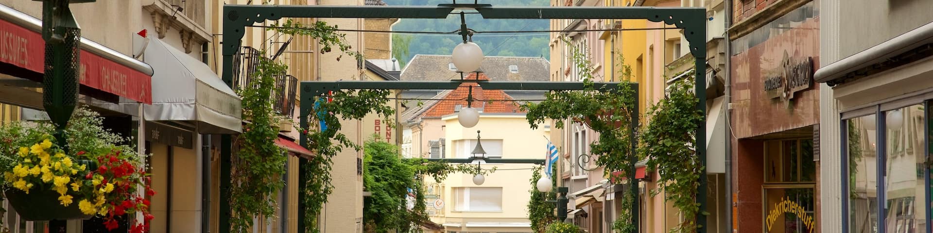 Echternach featuring heritage architecture and street scenes