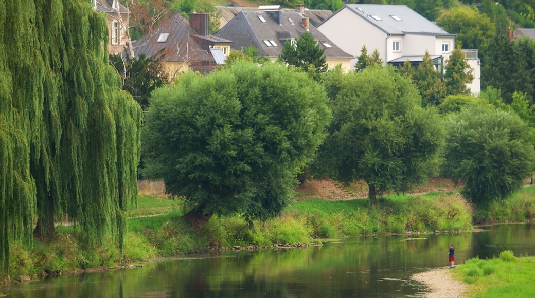 Diekirch showing a river or creek and a small town or village