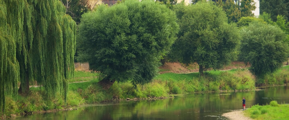 Diekirch que incluye un río o arroyo y una pequeña ciudad o pueblo
