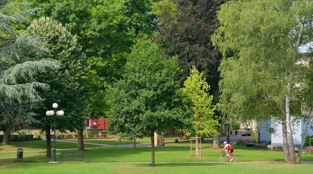 Diekirch mostrando un parque y ciclismo y también un hombre