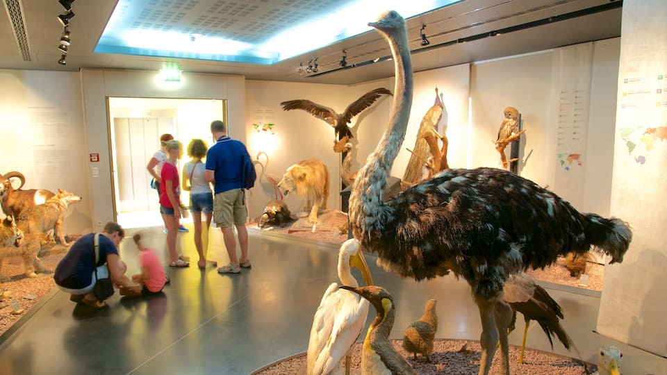 National Museum of Natural History