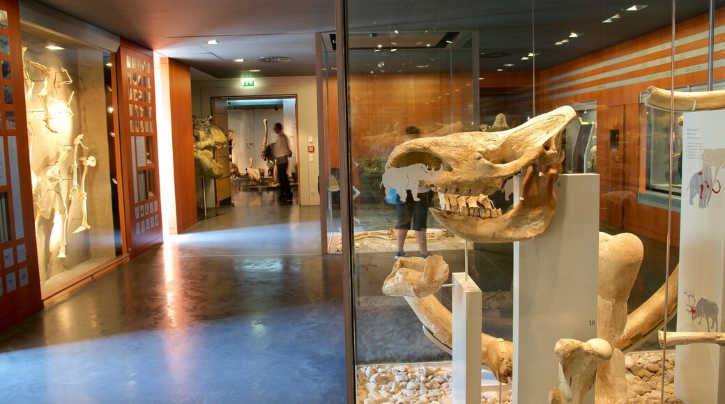 Museo Nacional de Historia Natural