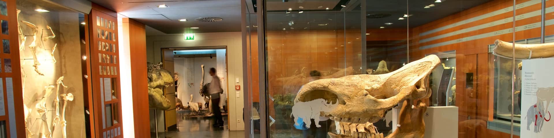 Musée national d\'histoire naturelle