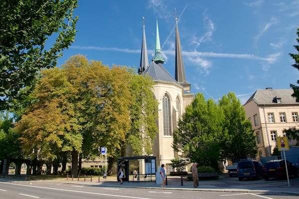 Cathédrale Notre-Dame qui includes patrimoine architectural, patrimoine historique et église ou cathédrale
