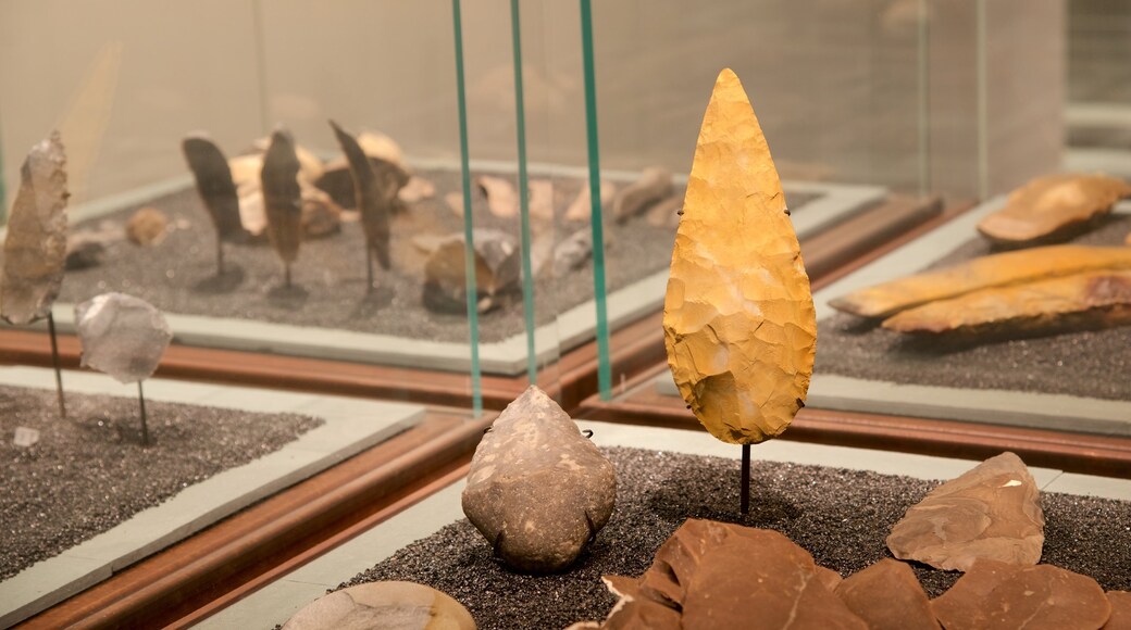 Museo Nacional de Arte e Historia que incluye vistas interiores