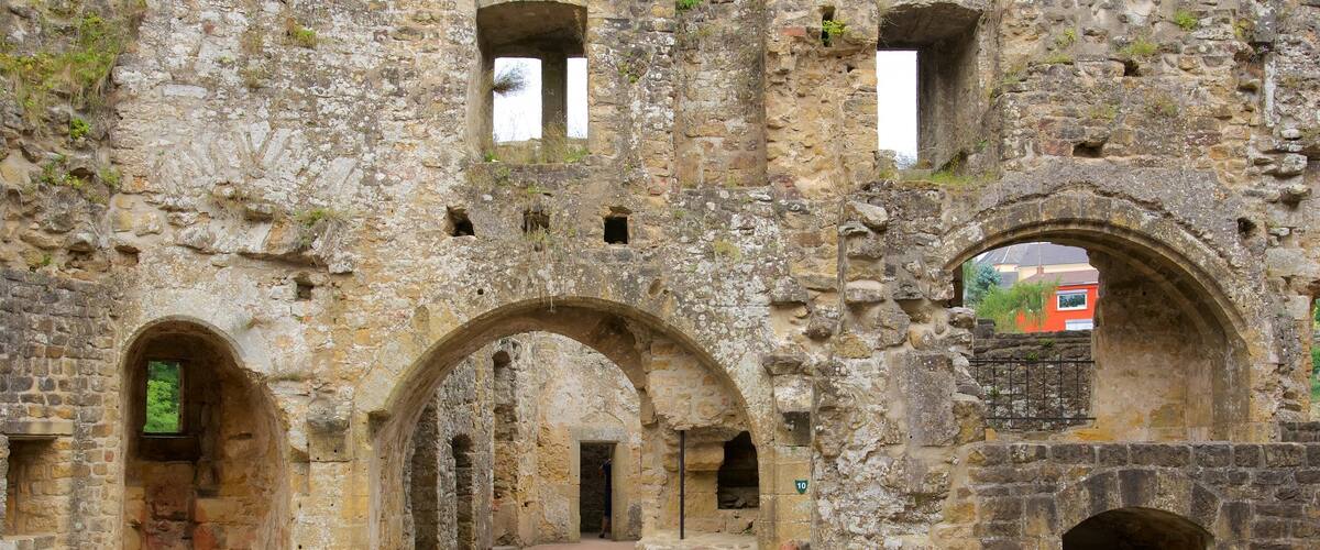 Luxemburgo que incluye un castillo, elementos del patrimonio y patrimonio de arquitectura