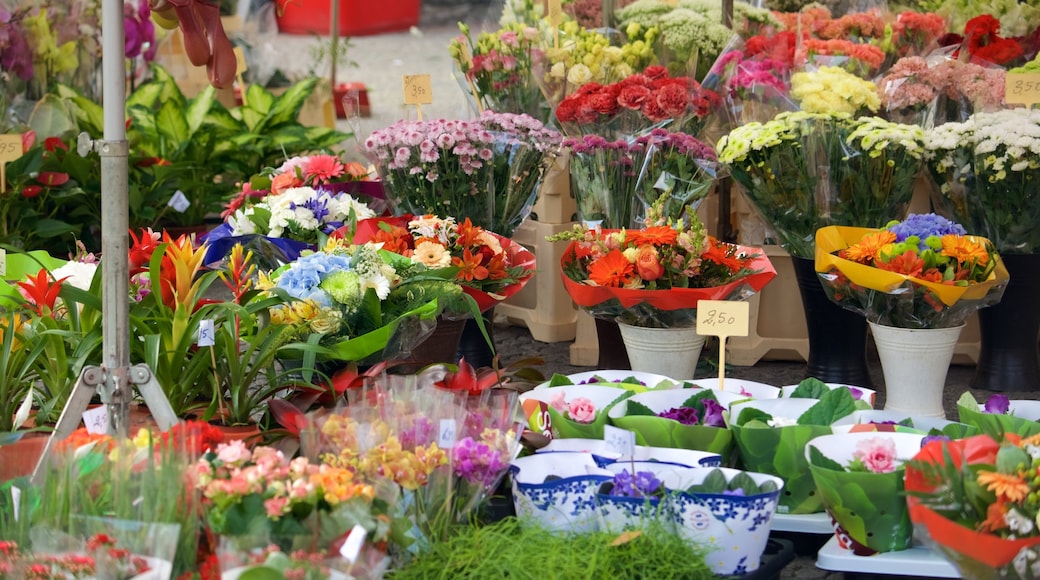 Luxemburg das einen Blumen