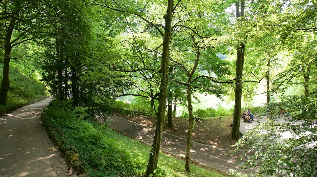 Luxembourg featuring a park as well as a small group of people