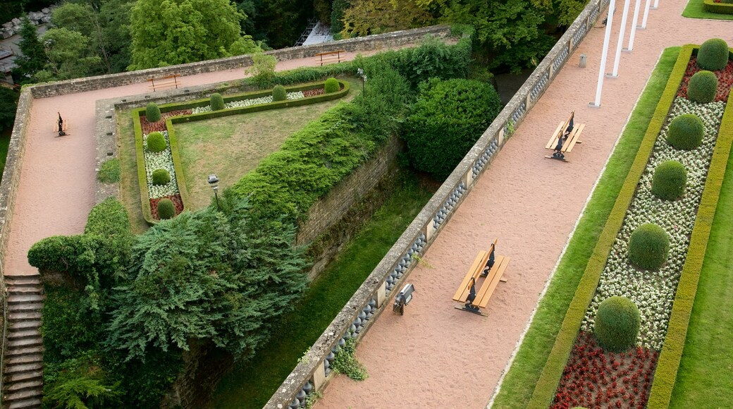 Luxembourg showing a park
