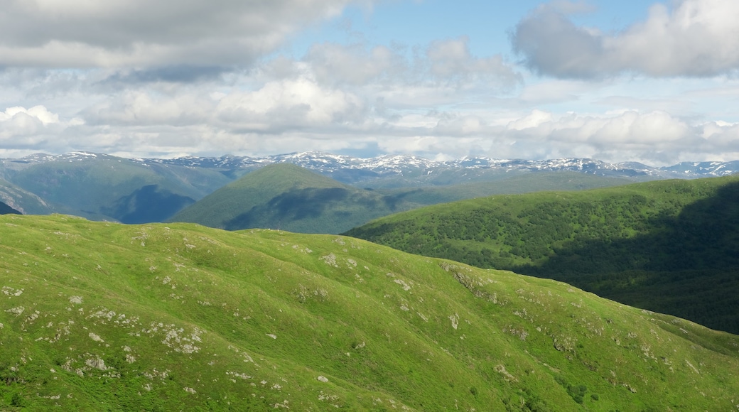 Bergen som inkluderer fjell og landskap