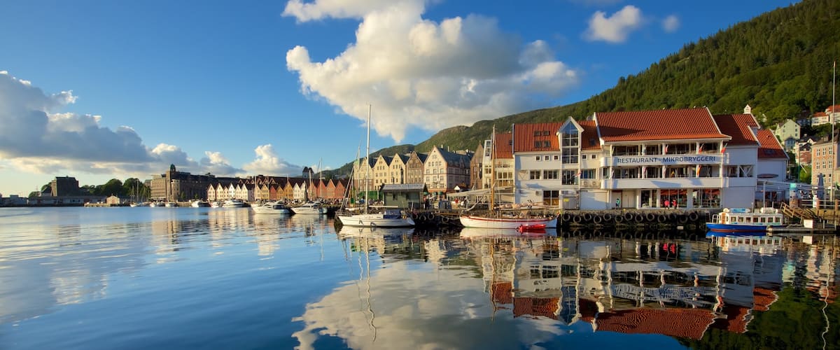 Bergen ofreciendo una ciudad costera, una marina y paseos en lancha