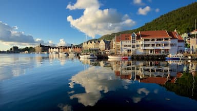 Bergen mettant en vedette navigation, marina et ville côtière