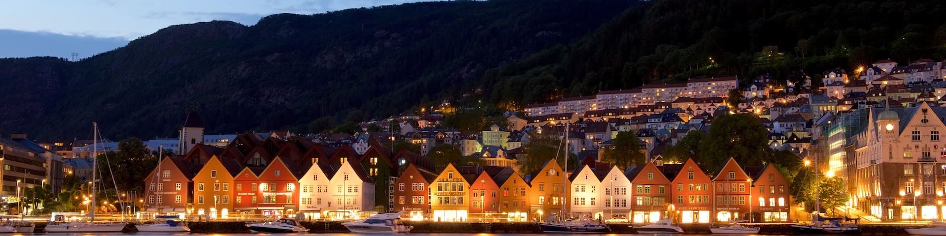 Bryggen showing night scenes and general coastal views