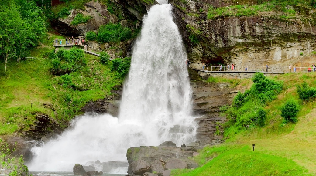 Bergen que incluye un puente y una catarata