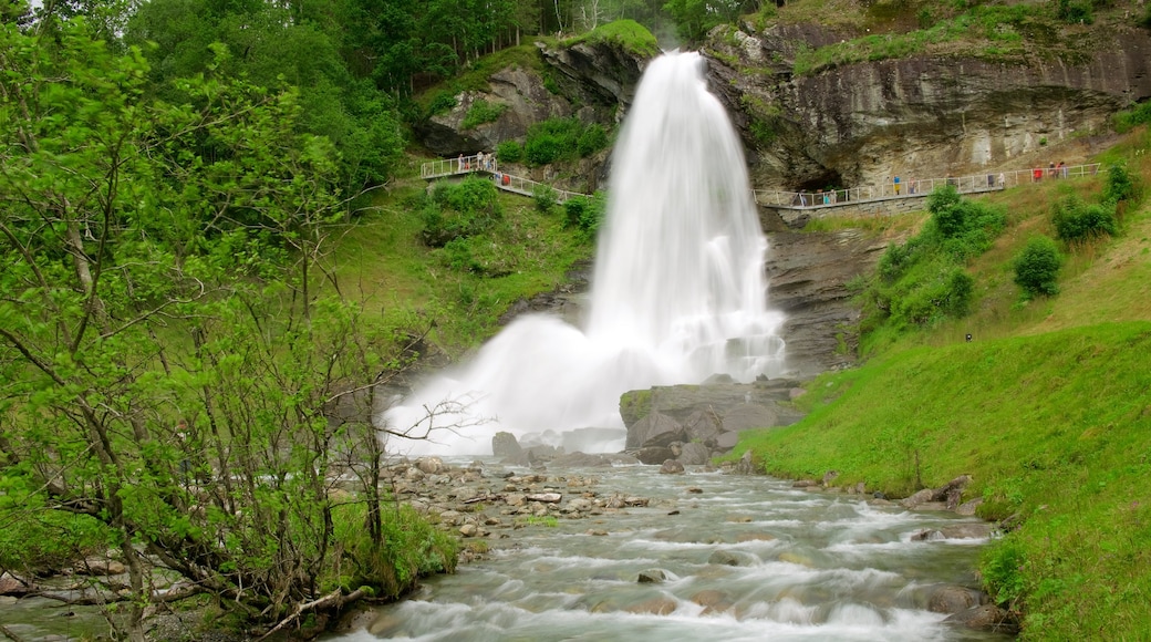 Bergen ofreciendo una cascada y un río o arroyo