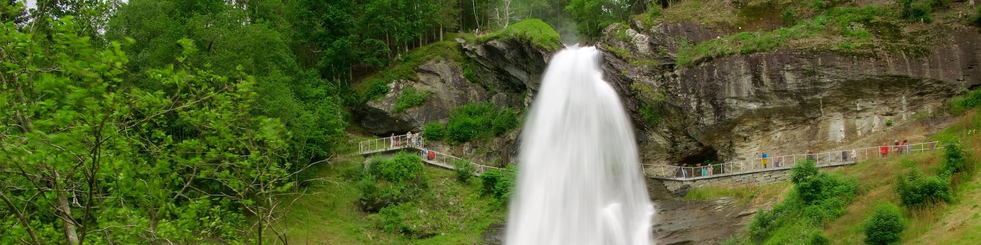Bergen showing a river or creek and a cascade