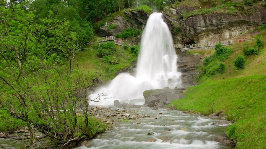 Bergen which includes a cascade and a river or creek