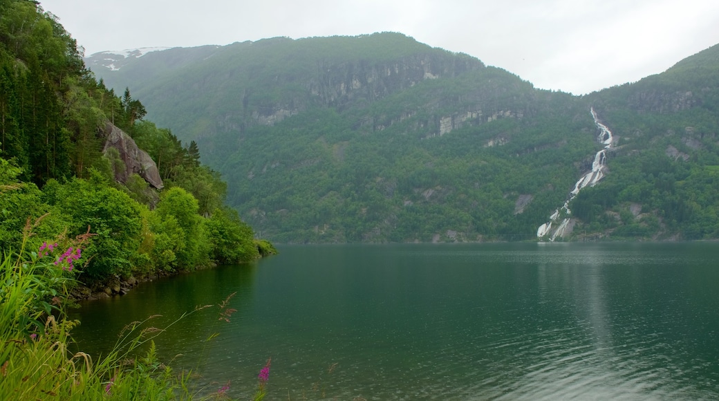 Bergen showing mountains