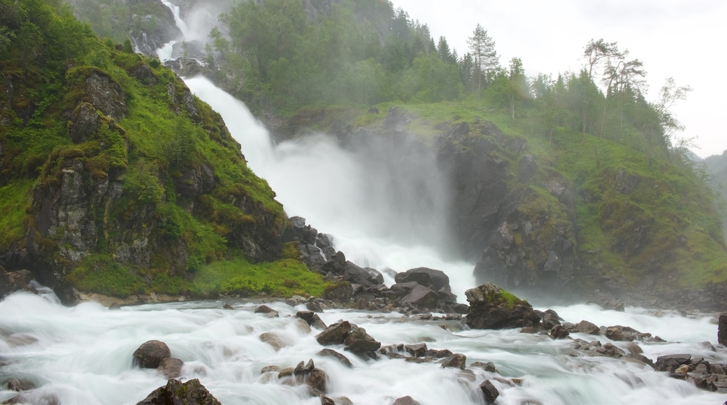 Bergen featuring a waterfall and rapids