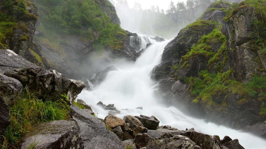 Bergen featuring a cascade and rapids