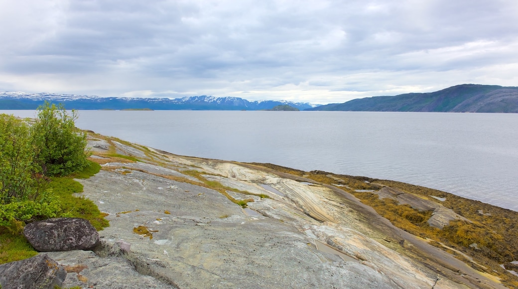 Alta som inkluderar en sjö eller ett vattenhål, berg och landskap