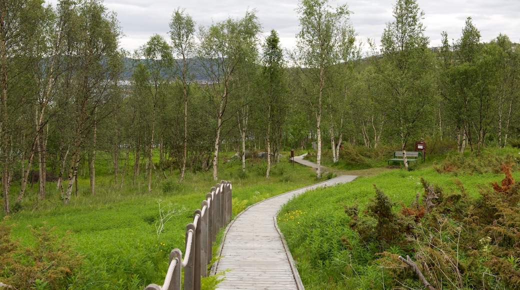 Alta, klippeudskæringer og byder på skovområder og en have